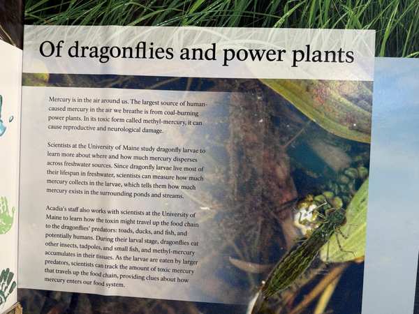 Nature Center 1c