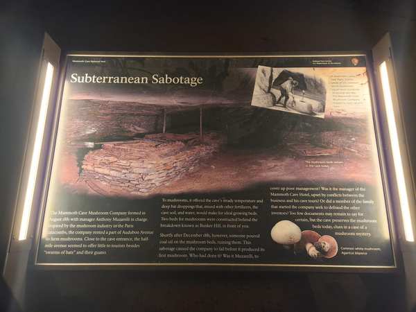 Subterranean Sabotage