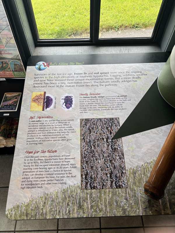 WRKVC Hemlock Woolly Adelgid Exhbit 2