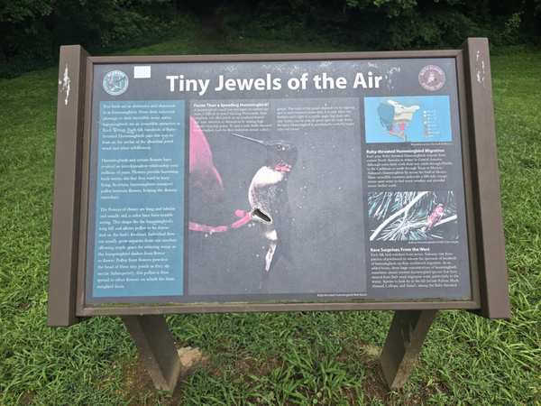 MP330.2 Damage Wayside