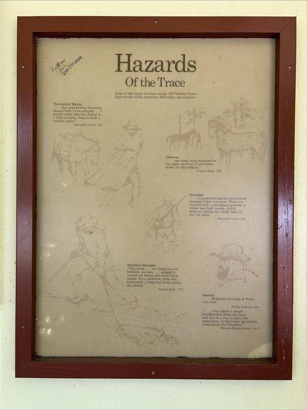 MP370 Content 2 Wayside