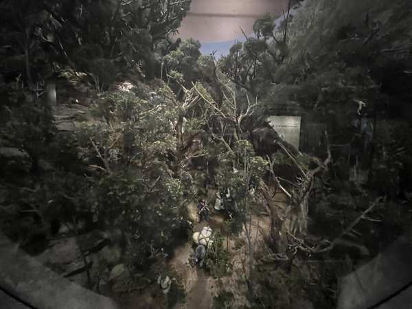 20250707 183254649 iOS