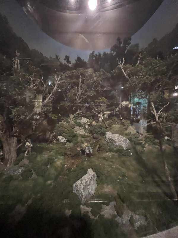 20250707 183342447 iOS