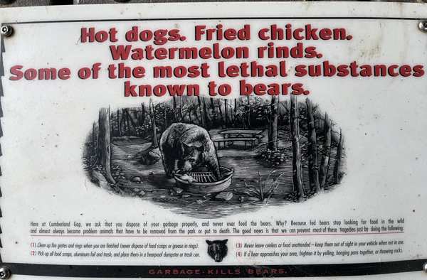 bear picnic table sign