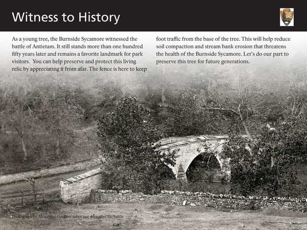 Witness to History Burnside Bridge Line 2