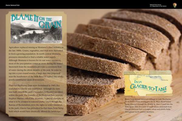 Blame it on the Grain