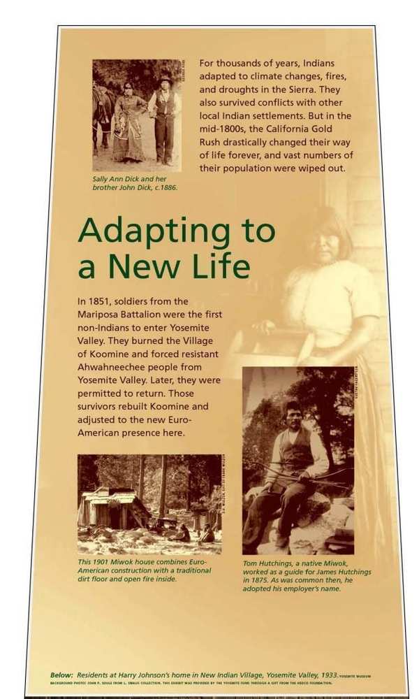 Adapting to New Life