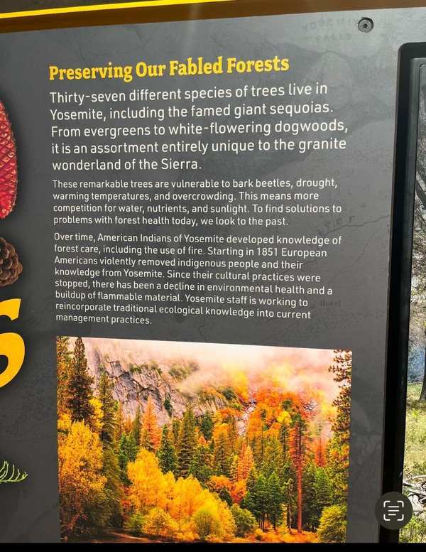 Preserving our Fabled Forests