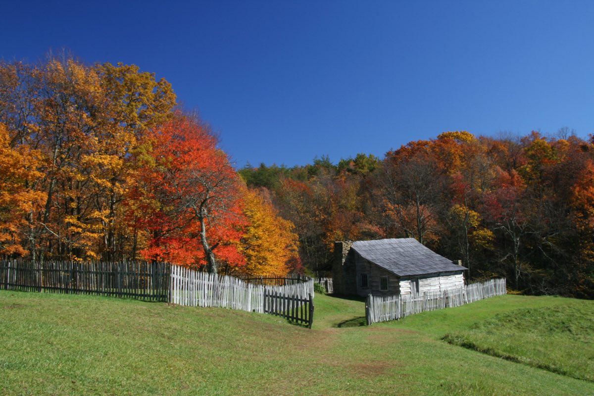 Weathered log cabins at Hensley Settlement