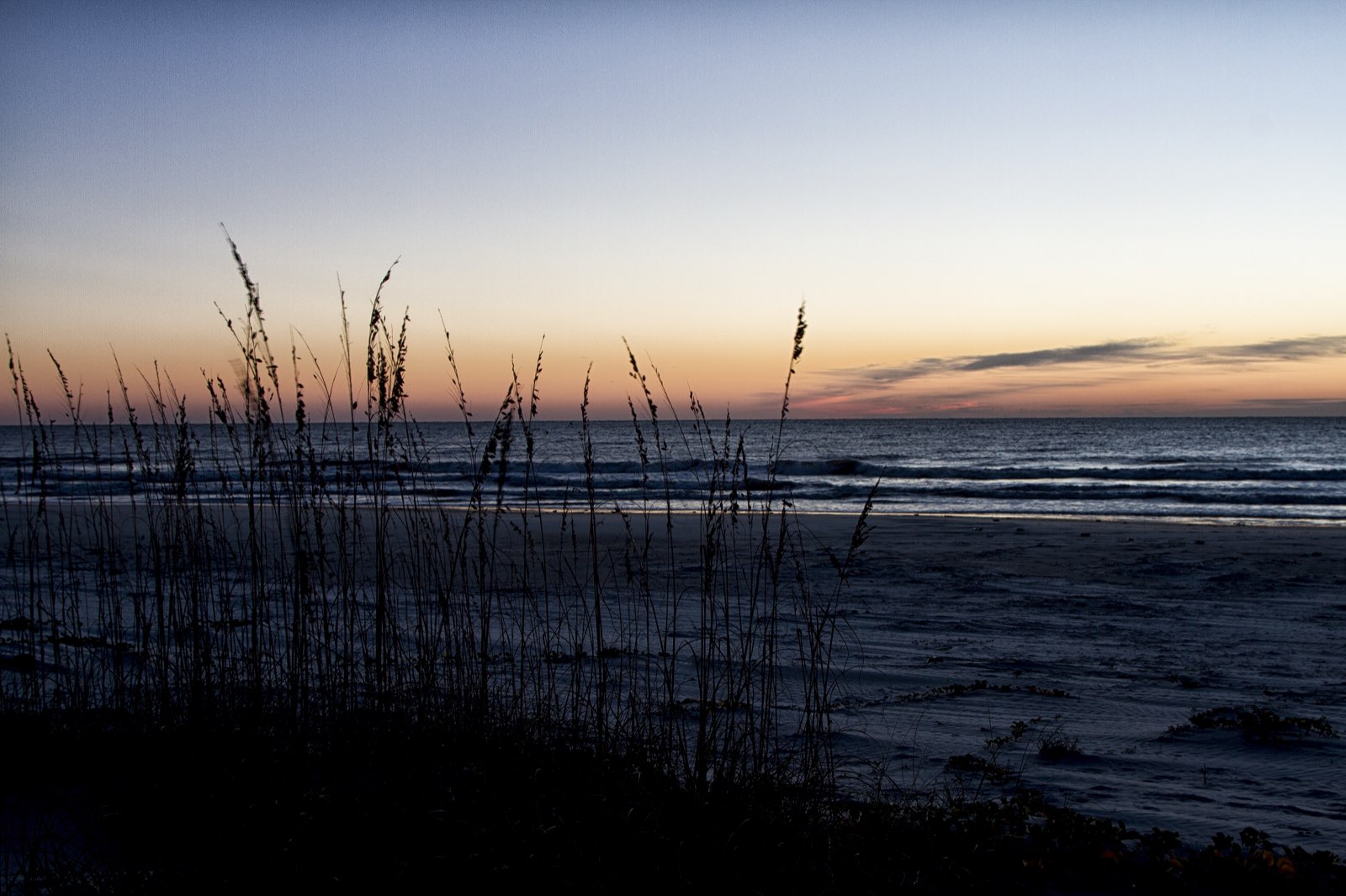 Nearly 18 miles of undeveloped beach, nesting area for birds and sea turtles