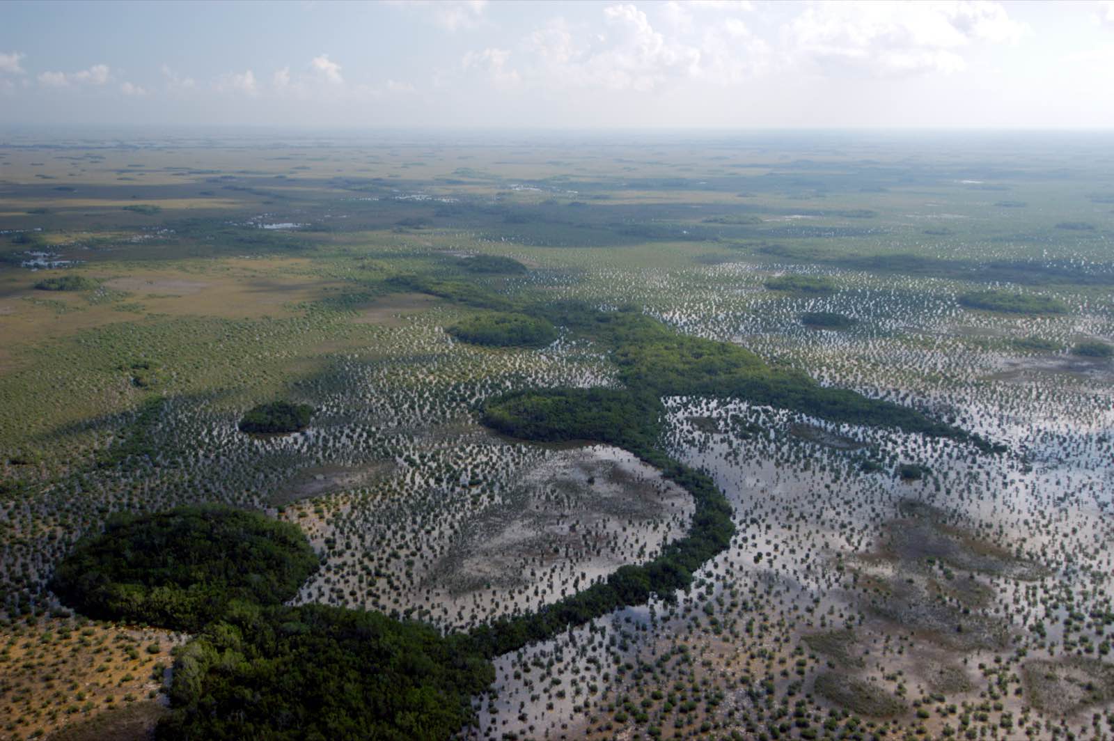 An aerial view of the landscape transition from sawgrass to Florida Bay