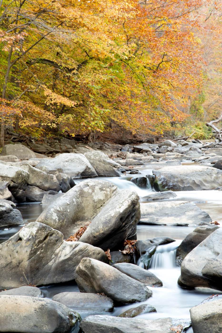Rock Creek in autumn