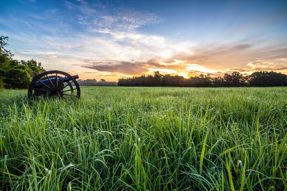 The line from which fifty-seven Union cannons fired on January 2, 1863, ending the Battle of Stones River