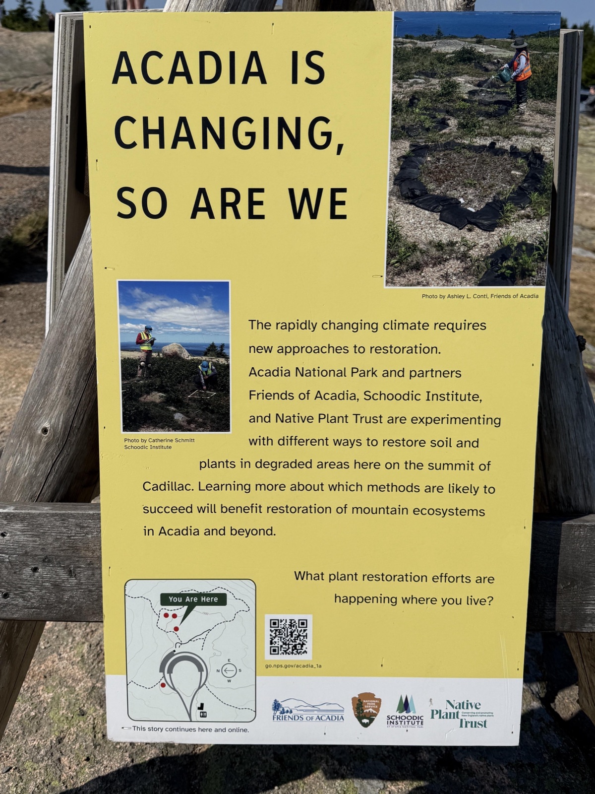 (Summits Tripod One) ACADIA IS CHANGING, SO ARE WE (yellow background) — before