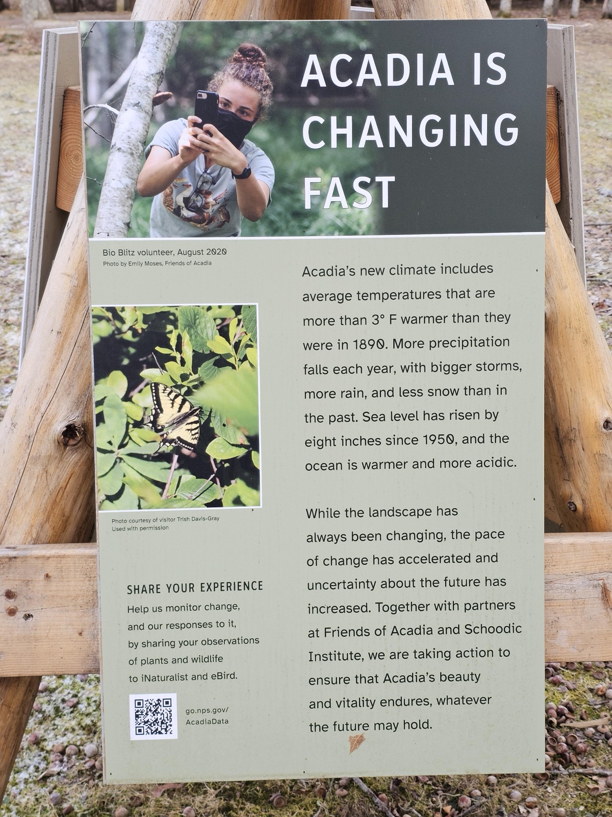 (Wetlands Tripod One) ACADIA IS CHANGING FAST — before