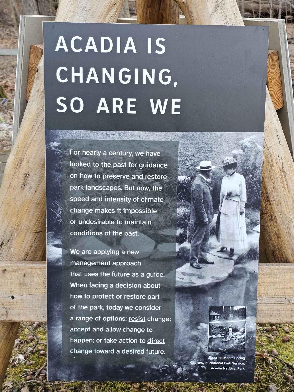 (Wetlands Tripod One) ACADIA IS CHANGING, SO ARE WE (b&w background) — before