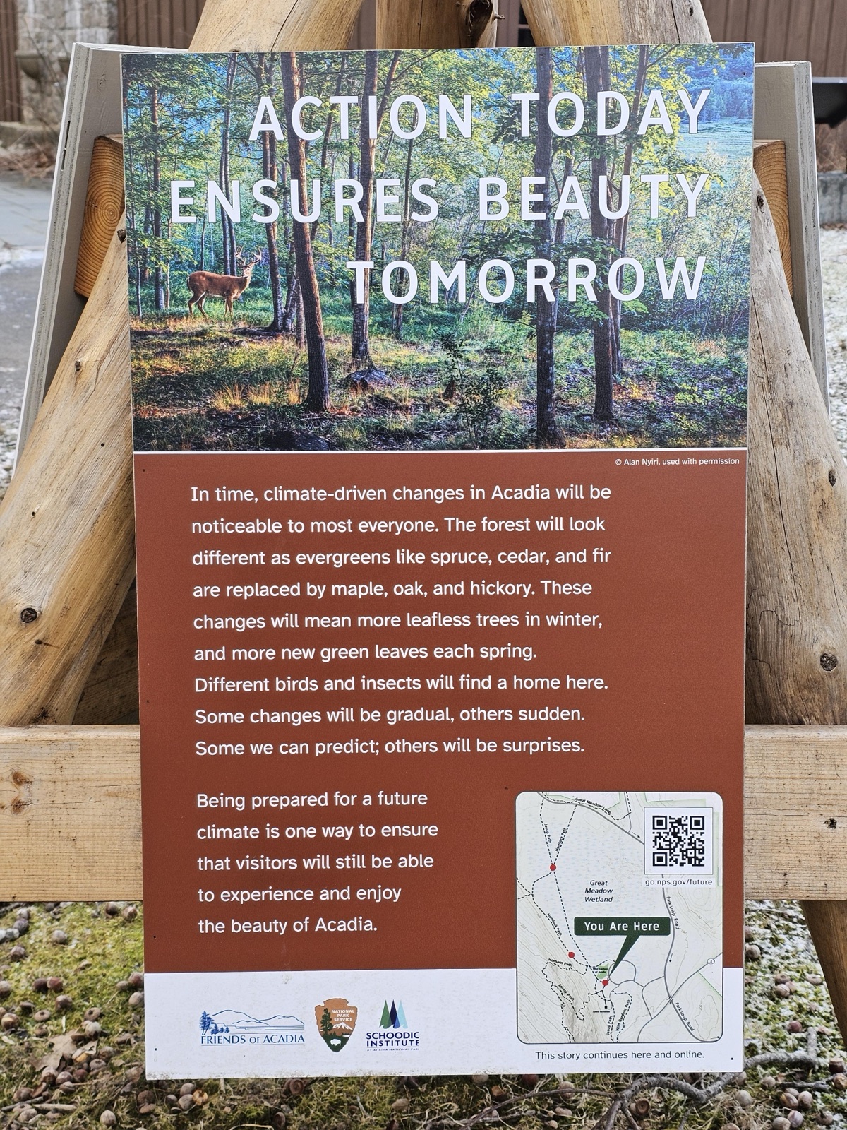 (Wetlands Tripod One) ACTION TODAY ENSURES BEAUTY TOMORROW — before