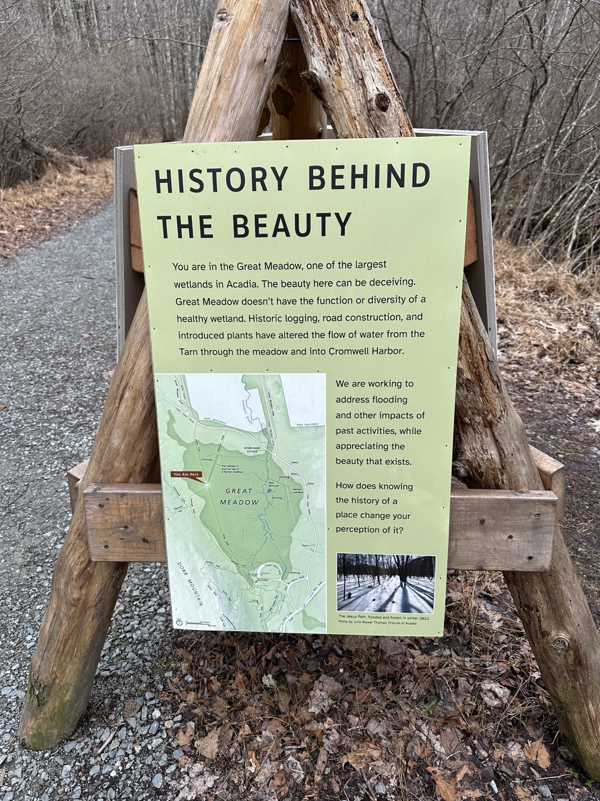 (Wetlands Tripod Three) HISTORY BEHIND THE BEAUTY — before