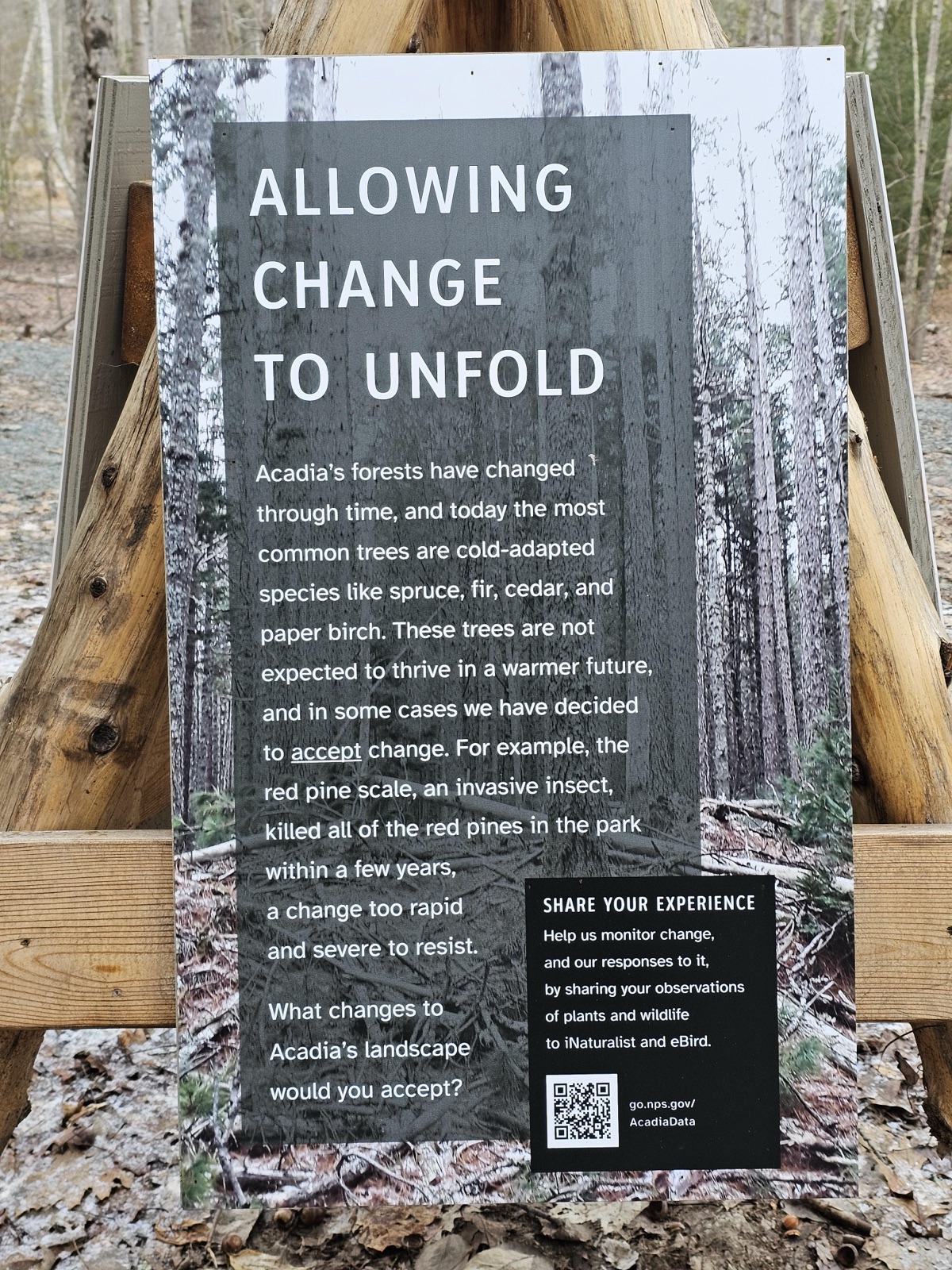 (Wetlands Tripod Two) ALLOWING CHANGE TO UNFOLD — before