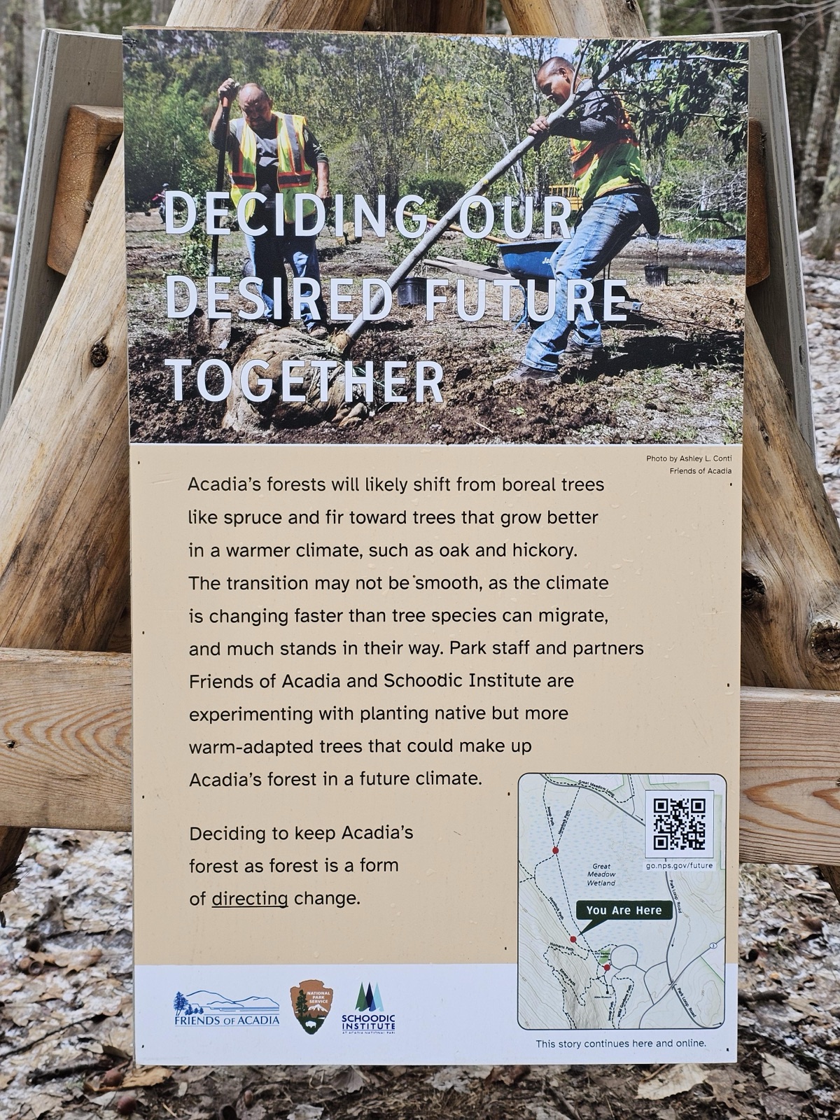 (Wetlands Tripod Two) DECIDING OUR DESIRED FUTURE TOGETHER — before