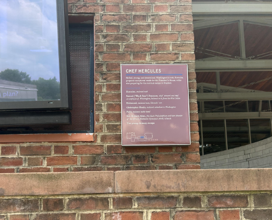 Chef Hercules - before removal