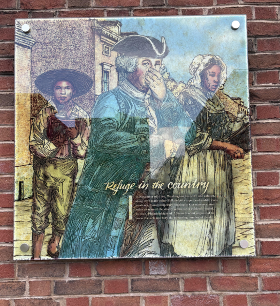 Refuge in the Country - before removal